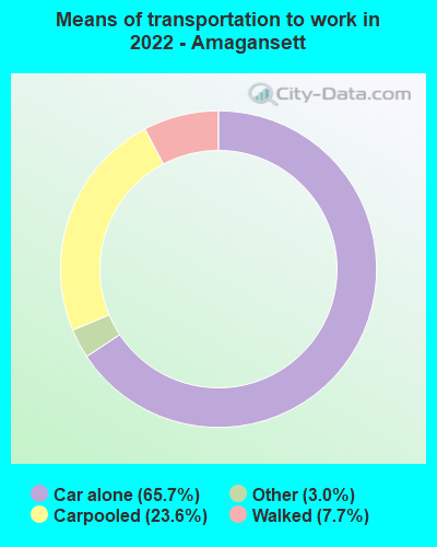 Means of transportation to work in 2022 - Amagansett