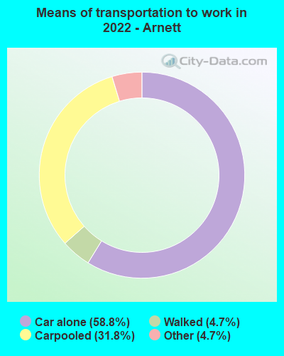 Means of transportation to work in 2022 - Arnett
