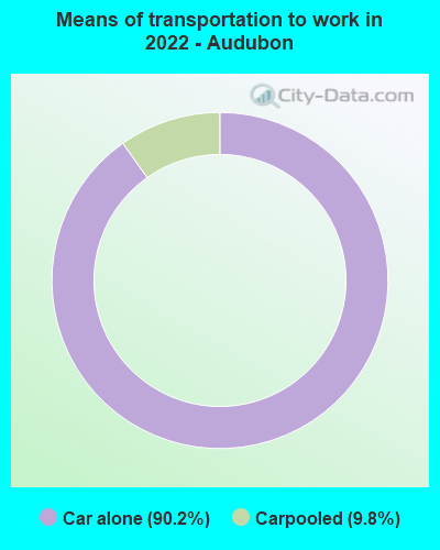 Means of transportation to work in 2022 - Audubon