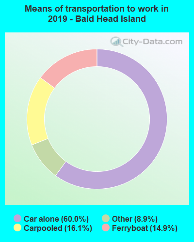 Means of transportation to work in 2022 - Bald Head Island