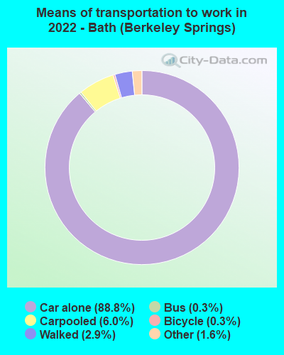 Means of transportation to work in 2022 - Bath (Berkeley Springs)