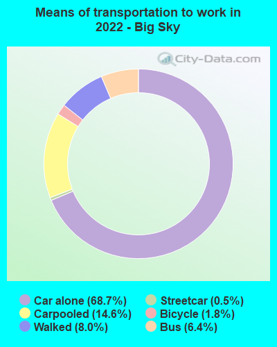 Means of transportation to work in 2022 - Big Sky