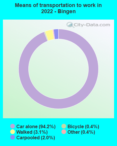 Means of transportation to work in 2022 - Bingen