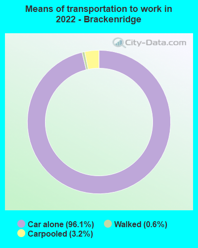 Means of transportation to work in 2022 - Brackenridge