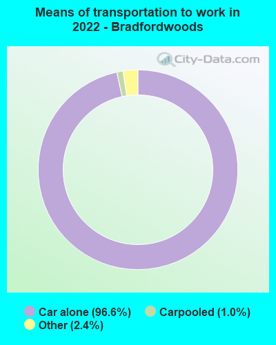 Means of transportation to work in 2022 - Bradfordwoods
