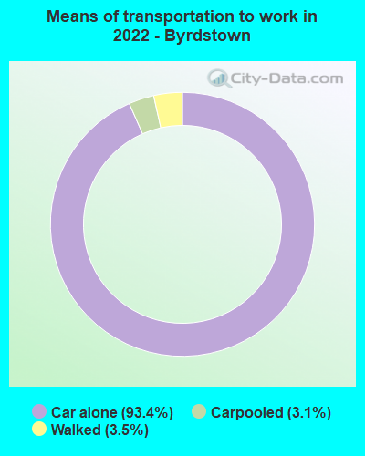 Means of transportation to work in 2022 - Byrdstown