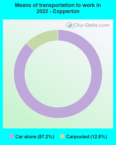 Means of transportation to work in 2022 - Copperton