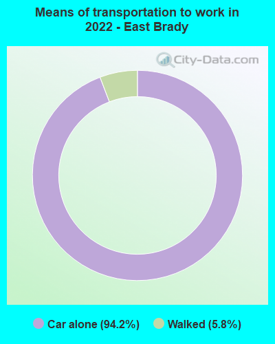 Means of transportation to work in 2022 - East Brady