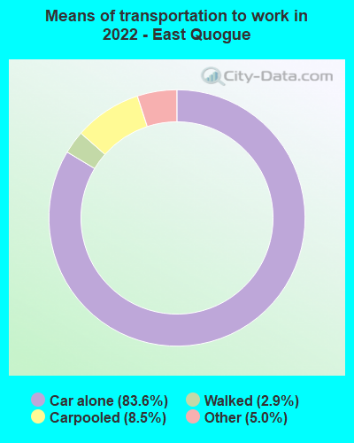 Means of transportation to work in 2022 - East Quogue