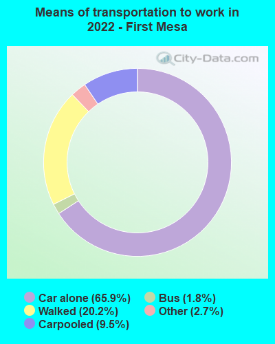 Means of transportation to work in 2022 - First Mesa