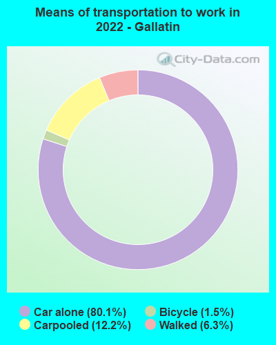 Means of transportation to work in 2022 - Gallatin