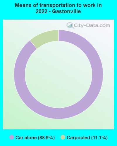 Means of transportation to work in 2022 - Gastonville