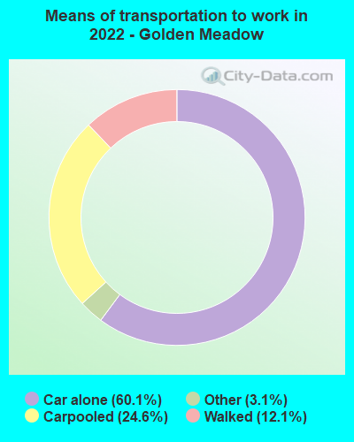 Means of transportation to work in 2022 - Golden Meadow