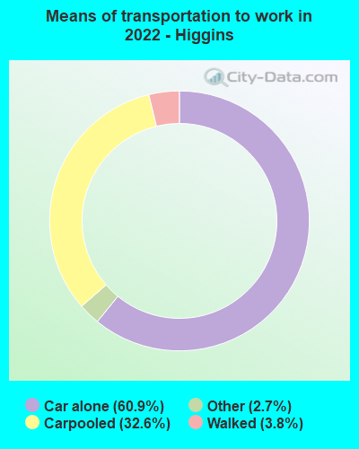 Means of transportation to work in 2022 - Higgins