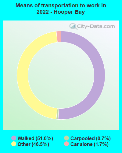 Means of transportation to work in 2022 - Hooper Bay