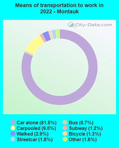 Means of transportation to work in 2022 - Montauk