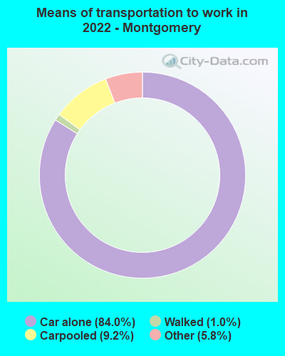 Means of transportation to work in 2022 - Montgomery