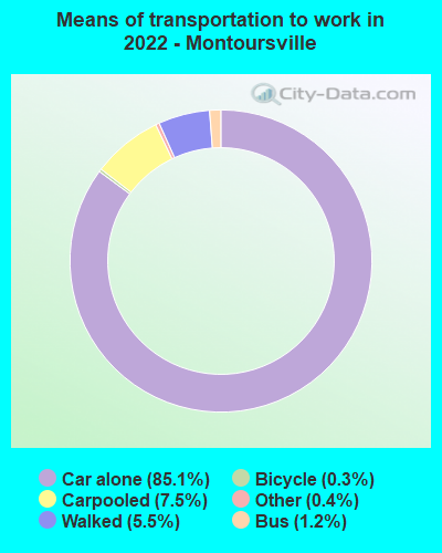 Means of transportation to work in 2022 - Montoursville