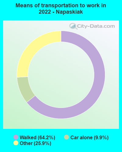 Means of transportation to work in 2022 - Napaskiak