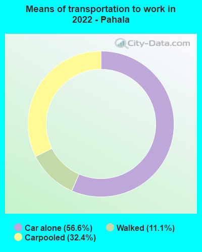 Means of transportation to work in 2022 - Pahala