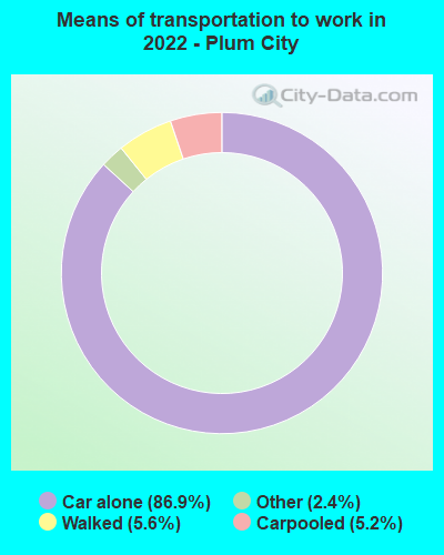 Means of transportation to work in 2022 - Plum City