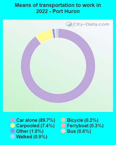 Means of transportation to work in 2022 - Port Huron