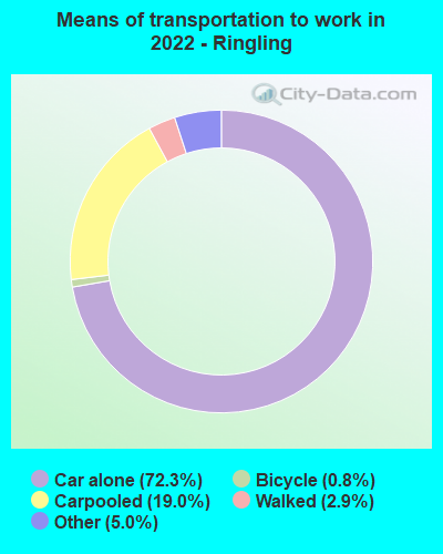 Means of transportation to work in 2022 - Ringling