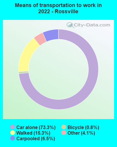 Means of transportation to work in 2022 - Rossville