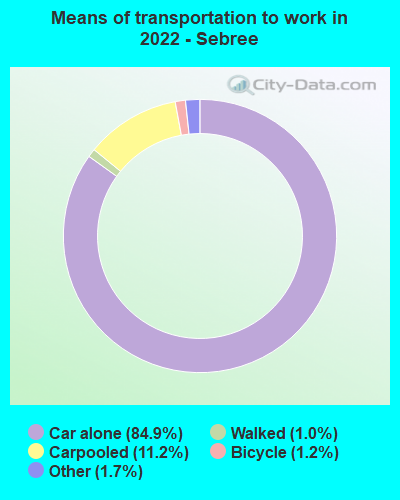 Means of transportation to work in 2022 - Sebree