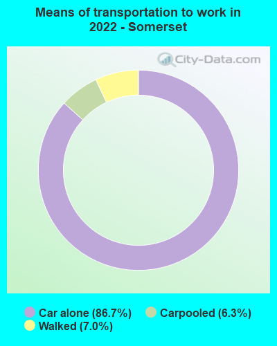 Means of transportation to work in 2022 - Somerset