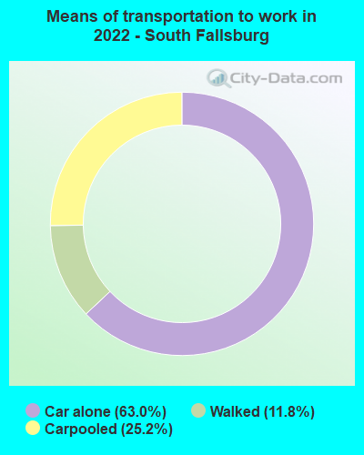 Means of transportation to work in 2022 - South Fallsburg