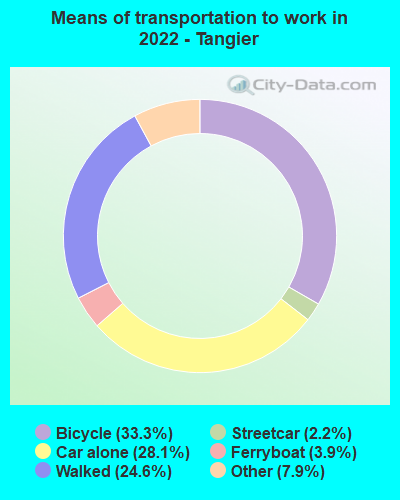 Means of transportation to work in 2022 - Tangier