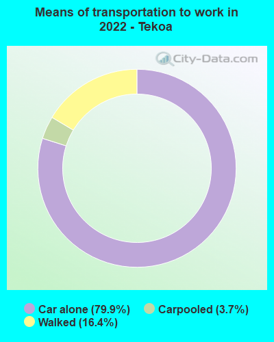 Means of transportation to work in 2022 - Tekoa