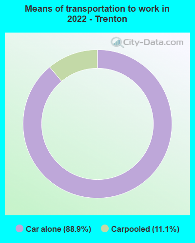 Means of transportation to work in 2022 - Trenton