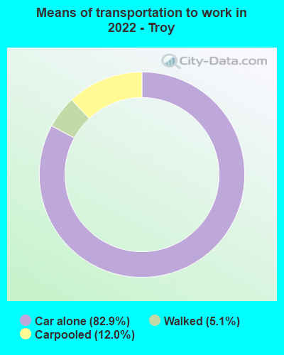Means of transportation to work in 2022 - Troy