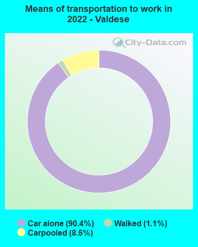 Means of transportation to work in 2022 - Valdese