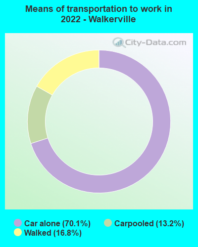 Means of transportation to work in 2022 - Walkerville