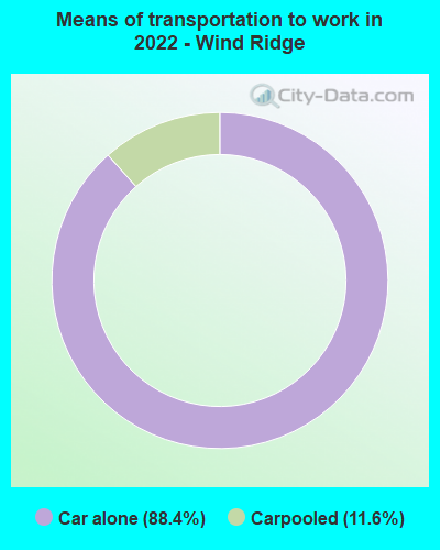 Means of transportation to work in 2022 - Wind Ridge