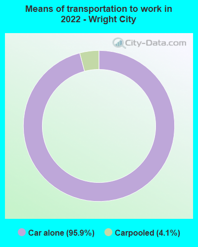 Means of transportation to work in 2022 - Wright City