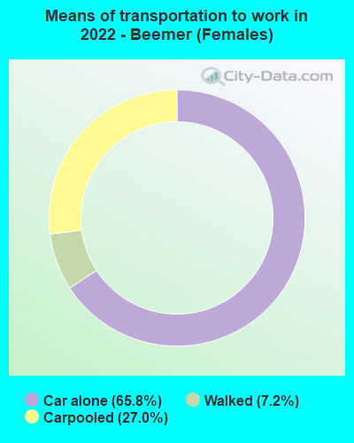 Means of transportation to work in 2022 - Beemer (Females)