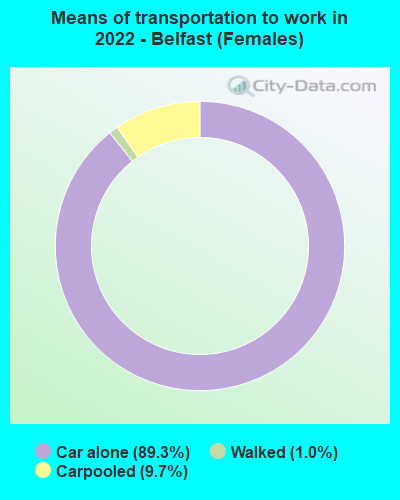 Means of transportation to work in 2022 - Belfast (Females)