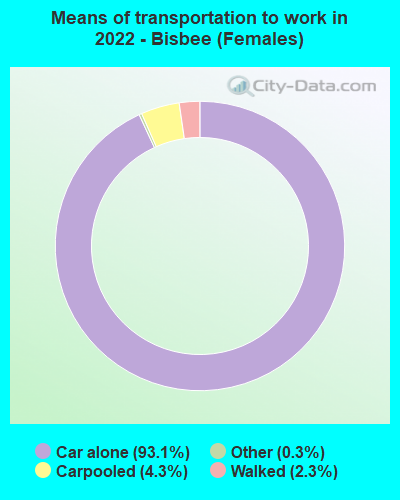 Means of transportation to work in 2022 - Bisbee (Females)