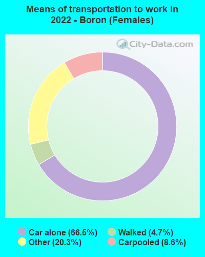Means of transportation to work in 2022 - Boron (Females)