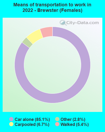 Means of transportation to work in 2022 - Brewster (Females)