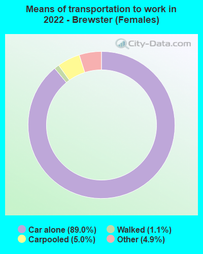 Means of transportation to work in 2022 - Brewster (Females)