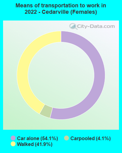 Means of transportation to work in 2022 - Cedarville (Females)