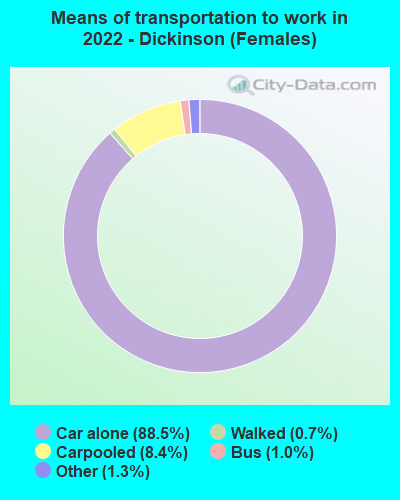 Means of transportation to work in 2022 - Dickinson (Females)