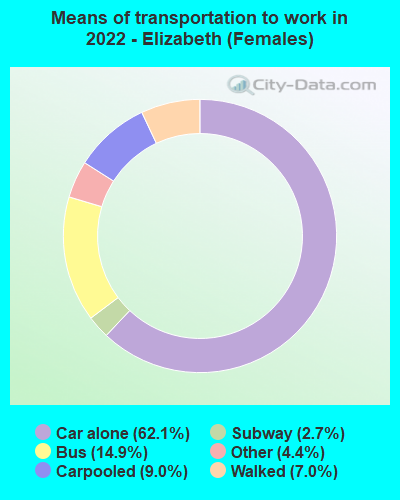 Means of transportation to work in 2022 - Elizabeth (Females)