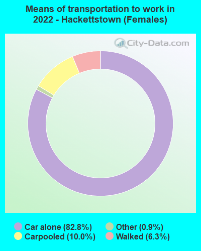 Means of transportation to work in 2022 - Hackettstown (Females)