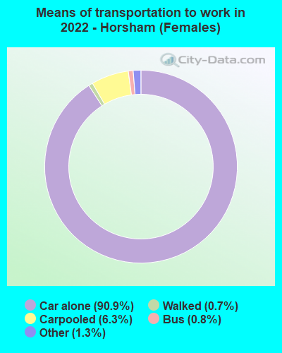 Means of transportation to work in 2022 - Horsham (Females)